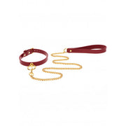 COLLARE CON GUINZAGLIO O-RING COLLAR AND CHAIN LEASH